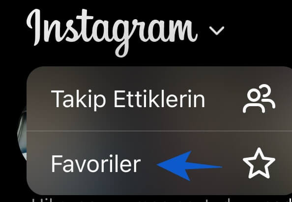 favoriler seçeneği